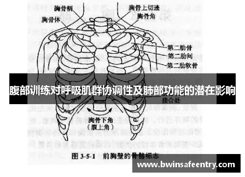 腹部训练对呼吸肌群协调性及肺部功能的潜在影响